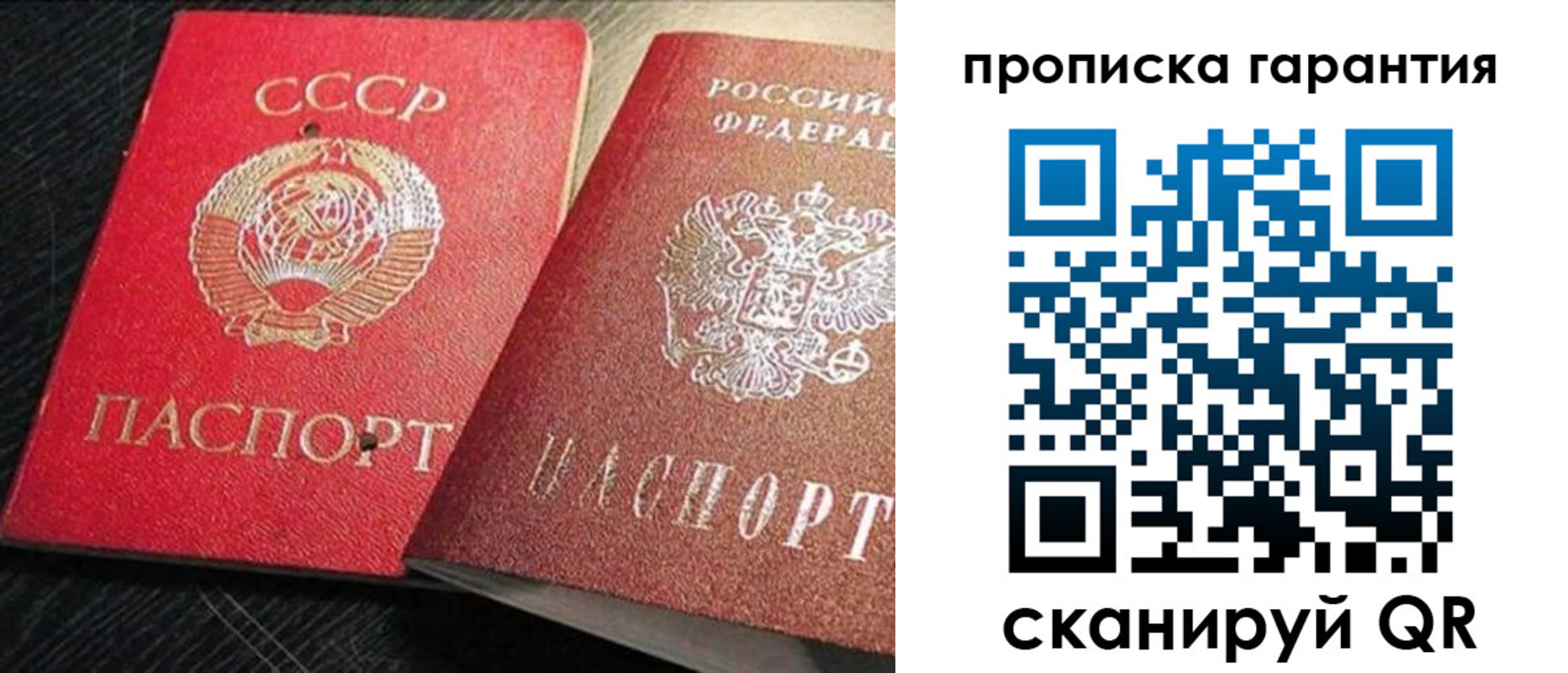 прописка 2025 в Лосино-Петровском